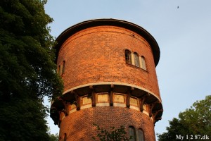 IMG_2038_730